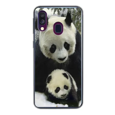 Produktbild von MuchoWow® Handyhülle Schutzhülle Hülle für Samsung Galaxy A40 Panda - Jungtier - Schnee Silikon Softcase Handy Hülle - Handy-Tasche