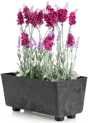 Image de HowHomely | Jardinière - Salvia - 28,5x17 cm - Béton noir - Design minimaliste - Résistant aux intempéries