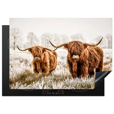 Produktbild von KitchenYeah© Herdabdeckplatte Schottischer Highlander - Tiere - Stier , 75x52cm, Küche Deko, Glaskeramikkochfeld Herdabdeckung, Abdeckplatte fùr Kochfeld