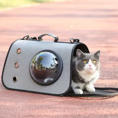 Produktbild von Hunde-Transportboxen, Transportbox 360° Sichtfeld, (40x26x26cm), Faltbare Hundebox, Transporttasche, tragbar Katzenbox, Hundetasche mit Riemen, grau