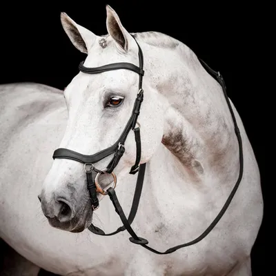 Produktbild von Horseware Ireland Trense Micklem 2 mit Gummizügeln Competition Bridle Trensenzaum Black Pony
