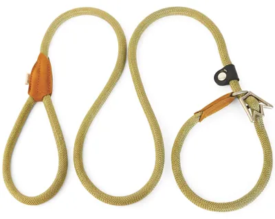 Image de Laisse rétractable pour chien avec fonction d'arrêt, longueur 180 cm