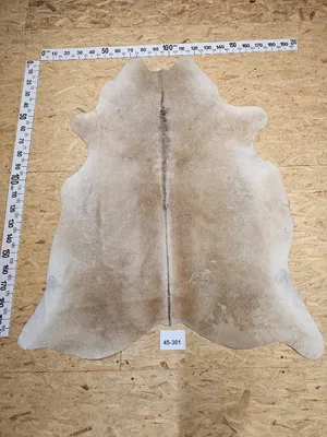 Produktbild von Kuhfell mit kleinen Mängeln 45-301