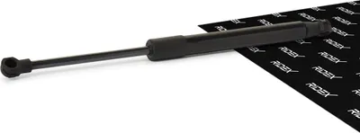 Produktbild von RIDEX Gasfeder Motorhaubendämpfer 310mm für BMW 5 Limousine (E60) 330N 514G0013