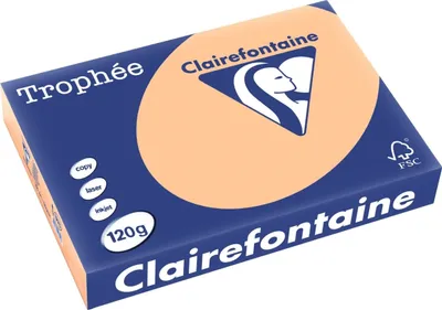 Obrázok produktu pre Clairefontaine 1275C Clairefontaine Multifunktionspapier Trophée, A4, aprikose