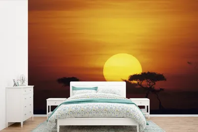 Produktbild von Fotobehang Zonsopkomst Afrika Wandgemälde aus Leinwand 525 cm x 350 cm