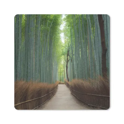 Produktbild von MuchoWow® Mauspad Mousepad Bambus - Weg - Wald 20x20 cm - Mousepads - Maus Mat - Pad - Mausunterlage - Desk Mat - Bureauartikeln