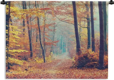Produktbild von MuchoWow® Wandteppich Wandbehang Wald - Herbst - Laub 150x112.50 cm Tapisserie Dekoration Wandtuch - Wanddecke - Wandteppiche