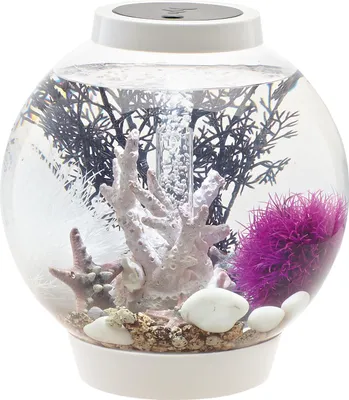 Produktbild von Oase biOrb CLASSIC 15 Liter Aquarium MCR weiß