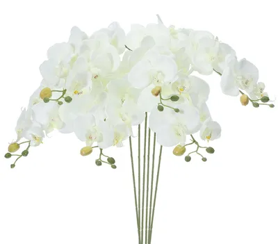 Künstliche Orchideenstiele 78,7 cm, 6er-Pack, Weiß