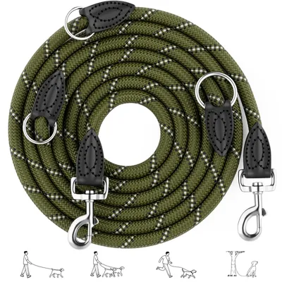 Imagen del producto de Correa para perros de 3 metros - Ajustable, apta para perros pequeños, medianos y grandes