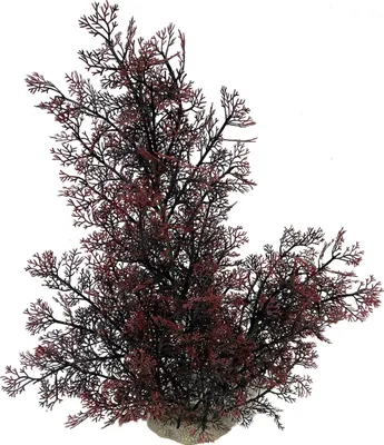 Produktbild von Aqua Della Aquarium Dekoration Phoenix rot