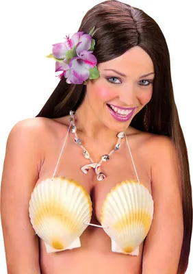Produktbild von y Muschel Bikini Oberteil für Fasching, Karneval & Beachparty