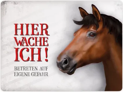 Produktbild von Metallschild XL mit Pferd Motiv und Spruch: Betreten auf eigene Gefahr ...