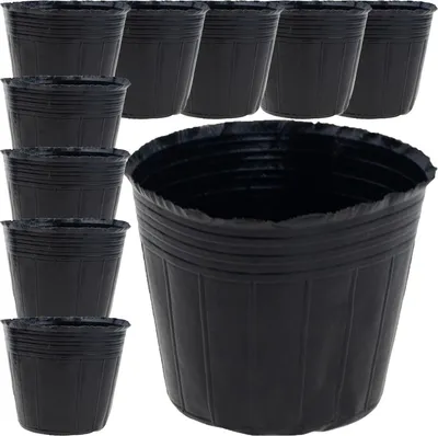 A group of black plastic seedling pots are arranged in a grid.