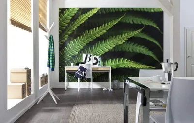 Zdjęcie produktu dla Tapeta flizelinowa Komar "Paproć", zielona, 350 x 250 cm