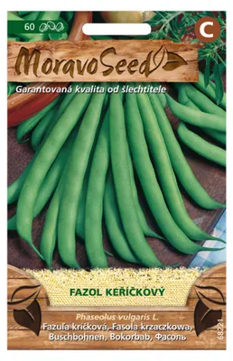 Obrázek produktu pro Fazol keříčkový, zelený 68221,