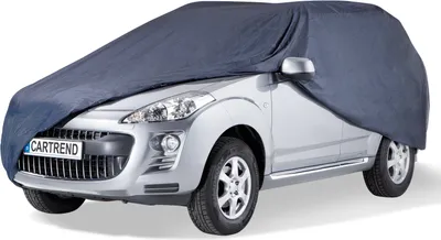 Produktbild von CARTREND Vollgarage Van (535x210x172cm) blau
