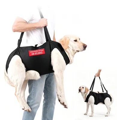 Productafbeelding van Draaghulp voor honden, XXL, tot 37 kg, voor mobiliteitsondersteuning