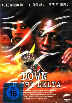 Produktbild von Down in the Delta