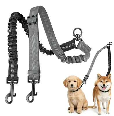 Productafbeelding van Dubbelleine voor honden, 360° draaibaar en verstrikkingsvrij