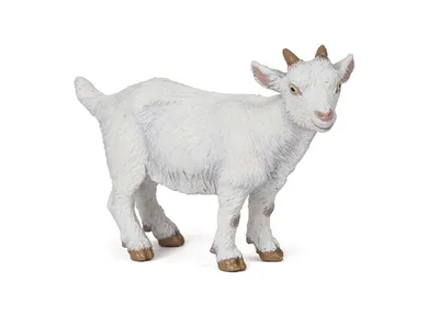 Produktbild von Spielfigur Papo   Weißes Zicklein