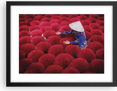 Produktbild von Gerahmtes Poster - Schwarzer Rahmen - Trocknen Weihrauch Vietnam - 40x30 cm - Wand Bild - Wanddeko - Wandbilder - Kunstposter - Wandposter - Bilderrahmen - Bilder - Kunstdruck - P2BAA40x30-4655