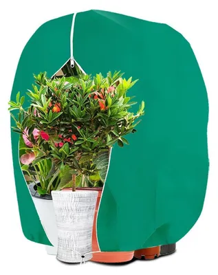 Image de Protection hivernale pour plantes, protection contre le gel, housse de protection, 120x140 cm, couleur verte