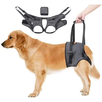 Produktbild von Hundehilfsgeschirr – Tragbares Hinterbeingeschirr für Hunde – verstellbares Liftgeschirr für ältere & gehbehinderte Hunde – Grau (S)