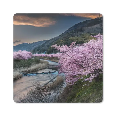 Produktbild von MuchoWow® Mauspad Mousepad Kirschbaum - Mons - Frühling 20x20 cm - Mousepads - Maus Mat - Pad - Mausunterlage - Desk Mat - Bureauartikeln
