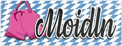 Produktbild von Moidln Metallschild L in 10,5x28cm XL Zeichen Sie das WC mit Stil und
