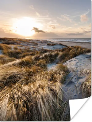 Produktbild von MuchoWow® Poster Strand - Meer - Scheveningen - Niederlande 120x160 cm - Wandbilder