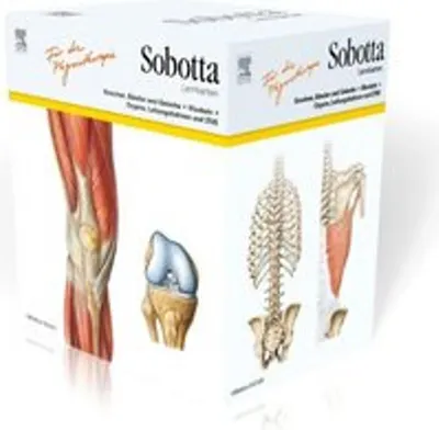 Obrázek produktu pro Sobotta Lernkarten für Physiotherapeuten