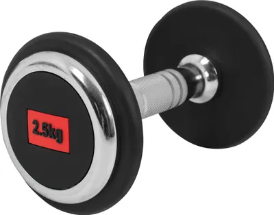 Produktbild von GORILLA SPORTS® Kurzhanteln - Einzeln, 2,5 kg, aus Gusseisen, Gummiert, Griff gerändelt, rutschfest - Rundhanteln, Kurzhantelset, Hantel Set, Gewichte, Dumbbells