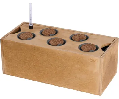 Image de Bac hydroponique en bois, taille M
