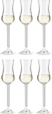 Obrázek produktu pro Sklenice Leonardo Grappa Daily 100 ml - 6 kusů