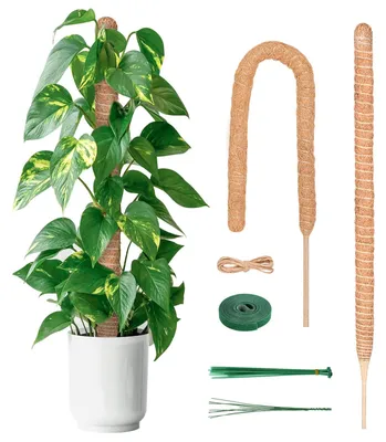 Productafbeelding van Omgoods- Mospaal 120 cm - 2 Stuks - Kokostotempaal - Plantensteunen voor Klimplanten - Plantenondersteuning - Veiligheidswaarschuwing - Plantensteun
