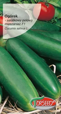 Produktbild von Samen der Salatgurke, Tessa F1 3g - Torseed
