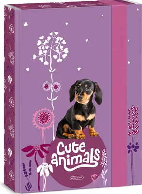 Produktbild von ARS UNA Heftbox A5, Sammel- Heftmappe für Schulranzen, mit Gummiband und Innenklappen, Cute Animals - Welpe, violett-rosa, für Mädchen