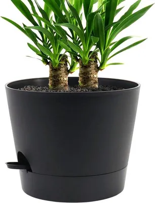 Produktbild von Selbstbewässernder Blumentopf – Innenbereich – Pflanzenpflege – Wasserspeicher-System – 305 cm – Schwarz