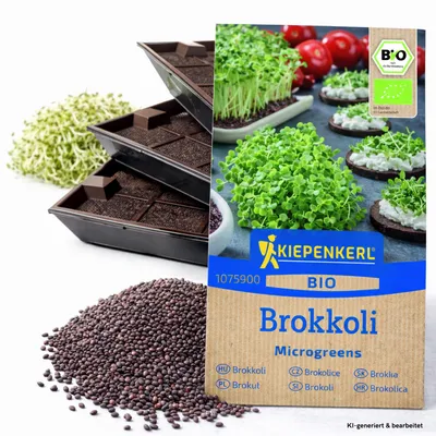 Produktbild von Samenshop24® Keimsprossen "Brokkoli" Anzucht-SET, Saat + 3 Keimschalen (das Original)