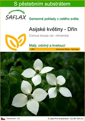 Obrázek produktu pro SAFLAX - Asijské květiny - Dřín - Cornus kousa var. chinensis - 30 Semena - S pěstebním substrátem bez klíčků