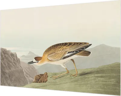 Zdjęcie produktu dla Tapeta ścienna – tapeta dekoracyjna do salonu – folia tapetowa do dekoracji ścian – 104 x 70 cm – Bergvogel