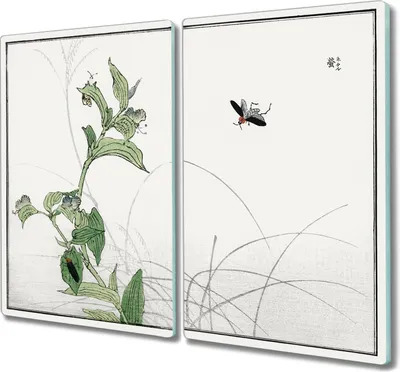 Produktbild von Coloray Küchenbrett Kochplattenabdeckung Hackbrett Schneidebrett Herdabdeckplatte 2x30x52 cm - Asiatische Insekten Liste