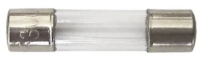 Image de LX3029 0.315A Fusible pour appareils WTA 0.315A 315MA 20MM