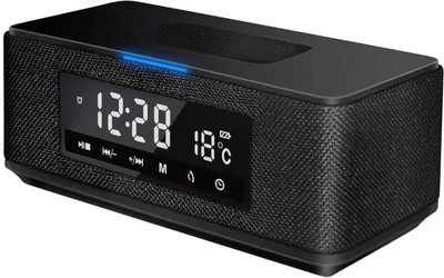 Immagine prodotto di Platinet PMGQ15B portable/party speaker Stereo portable speaker Black 10 W