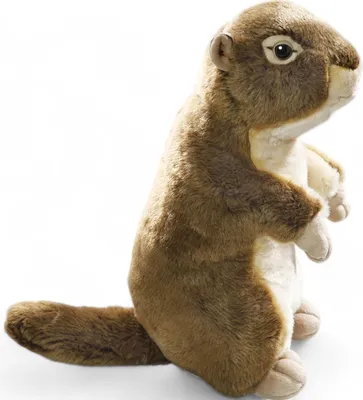 A stuffed toy animal on a white background.