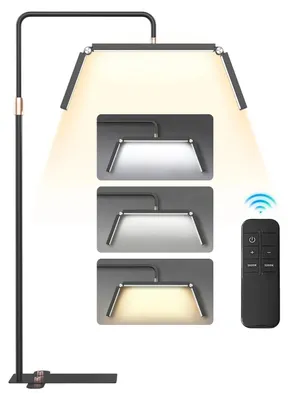 Produktbild von Stehlampe, einstellbare Helligkeit, duale Farbtemperatur, Schwarz