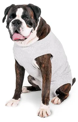 Productafbeelding van Karlie veiligheidshesje voor honden, grijs, maat: 48 cm