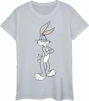 Produktbild von Looney Tunes - T-Shirt für Damen BI48173 (XXL) (Grau)